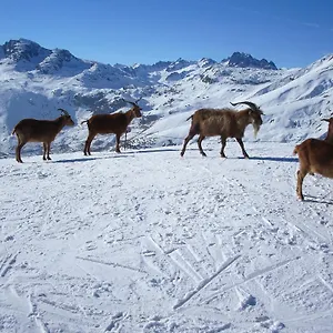 D'hotes Kiki & Coco *** Saint-Jean-de-Maurienne